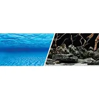 Marina 3d-achtergrond Voor Aquaria Met Zee-en Natuureffect