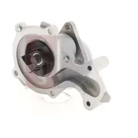 AKS DASIS 570188N Waterpomp