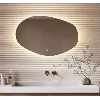 Schaere Organische badkamerspiegel met indirecte verlichting, verwarming, instelbare lichtkleur en dimfunctie 100x65 cm