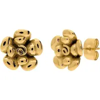 Lucardi Oorbellen goud