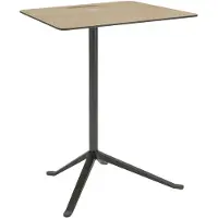 Fritz Hansen Little Friend Ks14 Side Table / Oak - Bijzettafels & buffetten Laminaat Black - 5702370180942