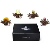 Creano Magneetbox met 6 Teelini's zwarte thee