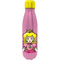 Super Mario Peach RVS Drinkfles - 540ml