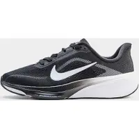 Nike Hardloopschoenen voor kids (straat) Pegasus 42 - Zwart, Zwart