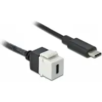 DeLOCK USB-C Keystone module - USB-C (m) | USB3.0 5 Gbps | wit | 0,25 meter