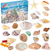 Nikcorp Adventskalender met speelgoed voor kinderen van 3 tot 12 jaar, met een schelpenmotief, 24 stuks