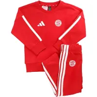 Adidas Trainingspak 'FC Bayern München DNA' rood / wit
