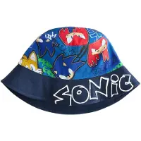 Next Sonic the Hedgehog vissershoed