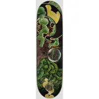 Creature Provost Orbital Pro 8.60 X 31.95 Skateboarddeck