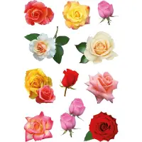 Herma Stickers rozenbloesems - 10 stuks