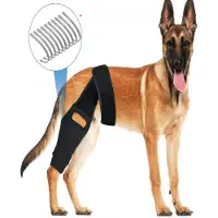 INF Hondenkniebrace voor ACL-ondersteuning en herstel van blessures