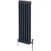 Monster Traditionele radiator met 3 kolommen - 1500 x 292 mm - Anthracietgrijs