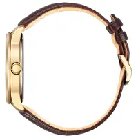 Citizen herenhorloge Bruin BM8553-16AE