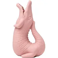 Scrunch Roze Kan