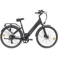 Nassau Freeport elektrische fiets 13Ah 7sp 28 inch black