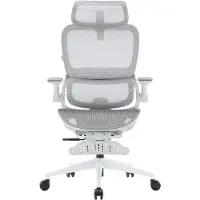 Sihoo B100 Pro Ergonomische Bureaustoel - Verbergbare Voetsteun - 4D Adaptieve Dynamische Lumbale Steun - 3D Extra Brede Hoofdsteun - 4D Ophoudbare Armsteunen - Grijs