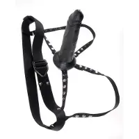 Sir Richard's Command Harness Met Holle Dildo
