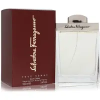 Salvatore Ferragamo eau de toilette spray 100 ml