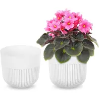Kadax Alia Bloempot 13