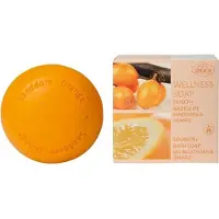Speick Wellness zeep duindoorn & sinaasappel 200 Gram