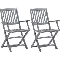 vidaXL Tuinstoelen inklapbaar 2 st massief acaciahout
