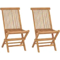 vidaXL Tuinstoelen inklapbaar 2 st massief teakhout