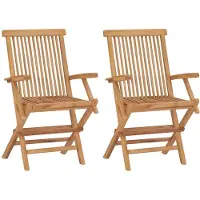 vidaXL Set van 2 klapstoelen met armleuningen, gemaakt van teakhout.