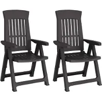 vidaXL Tuinstoelen 2 st verstelbaar PP antracietkleurig