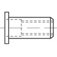 Toolcraft TO-5380617 Popnagel M8 RVS 100 stuk(s)
