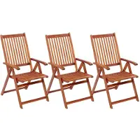 vidaXL Tuinstoelen inklapbaar 3 st massief acaciahout