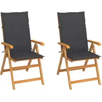 vidaXL Inklapbare stoelen 2 st met antracietkleurige kussens