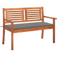 vidaXL Tuinbank 2-zits met kussen 120 cm massief eucalyptushout