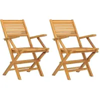 vidaXL Tuinstoelen inklapbaar 2 st 55x62x90 cm massief teakhout