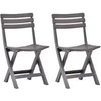 vidaXL Klapstoelen, 2 stuks, kunststof, mokka kleur