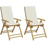 vidaXL Tuinstoelen 2 st inklapbaar met kussens bamboe