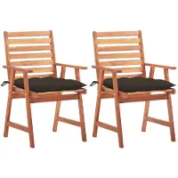 vidaXL Tuinstoelen 2 st met kussens massief acaciahout