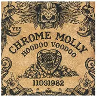 Cd Hoodoo Voodoo