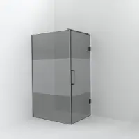 Balmani Modular inloopdouche met deur: 120 x 200 cm met deur 90 cm, Rookglas met matte strook met coating, Brushed CoolMetal profielen