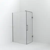 Balmani Modular inloopdouche met deur: 120 x 200 cm met deur 80 cm, Helder glas, Brushed CoolMetal profielen