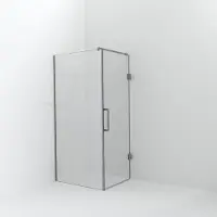 Balmani Modular inloopdouche met deur: 100 x 200 cm met deur 80 cm, Helder glas, Brushed CoolMetal profielen
