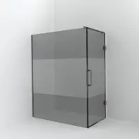 Balmani Modular inloopdouche met deur: 160 x 200 cm met deur 90 cm, Rookglas met matte strook, Brushed Inox profielen