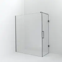 Balmani Modular inloopdouche met deur: 170 x 200 cm met deur 80 cm, Helder glas met coating, Brushed Inox profielen