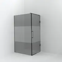 Balmani Modular inloopdouche met deur: 120 x 200 cm met deur 90 cm, Rookglas met matte strook, Brushed CoolMetal profielen