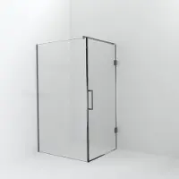 Balmani Modular inloopdouche met deur: 120 x 200 cm met deur 100 cm, Helder glas met coating, Brushed Inox profielen