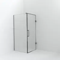 Balmani Modular inloopdouche met deur: 100 x 200 cm met deur 90 cm, Helder glas met coating, Brushed Inox profielen