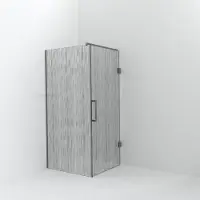 Balmani Modular inloopdouche met deur: 100 x 200 cm met deur 90 cm, Mikado met coating, Brushed Inox profielen