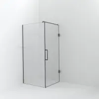 Balmani Modular inloopdouche met deur: 100 x 200 cm met deur 90 cm, Helder glas, Brushed Inox profielen