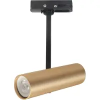 Highlight 1-fase goud met zwarte railspot Trend Mini GU10
