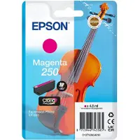 Epson 250 (C13T16N34010) Inktcartridge Magenta