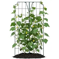 Bellissa Plantenklimrek - Stevige Plantensteun - Voor Groente en Komkommers - Verzinkt Frame - 121 x 77 cm
